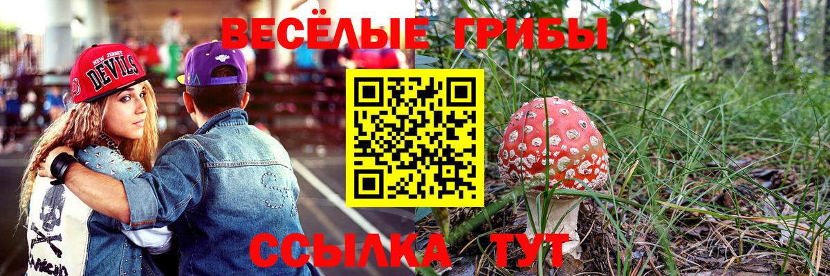 Галлюциногенные грибы мицелий  купить   Борзя  Вход с VPN 